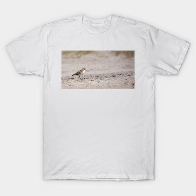 Dotterel, New Zealand. T-Shirt by sma1050